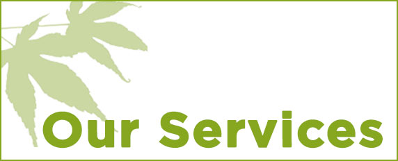 acer-solicitors-kenilworth-services